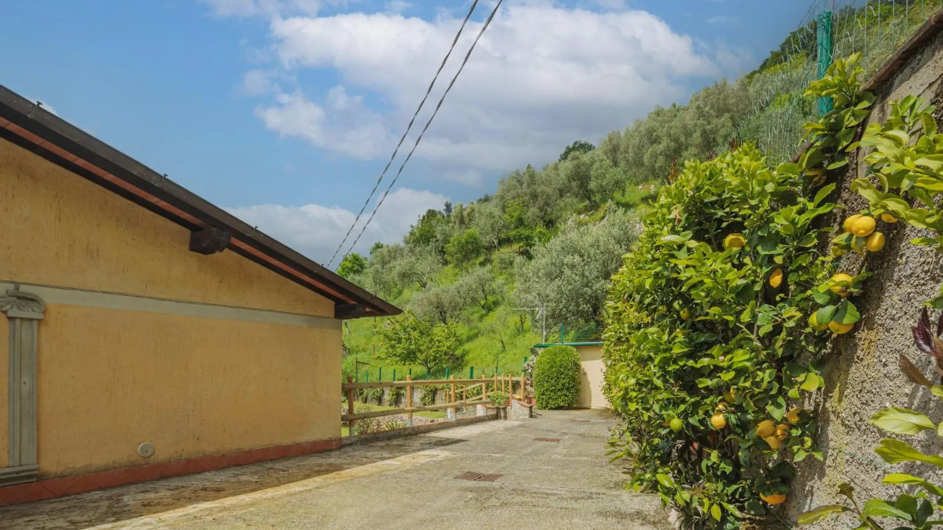 Holiday Home Alba By Interhome Camaiore